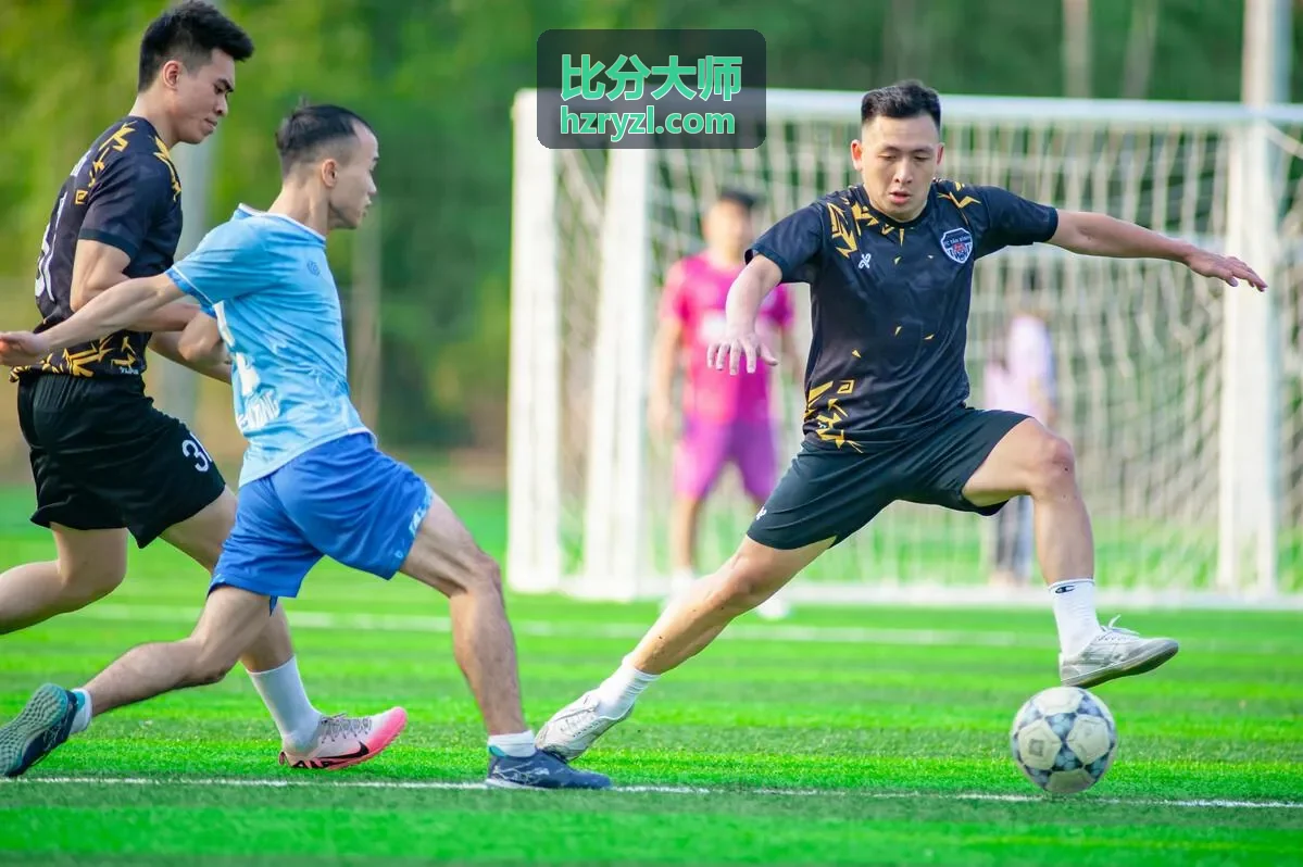 比分大师德国国家队